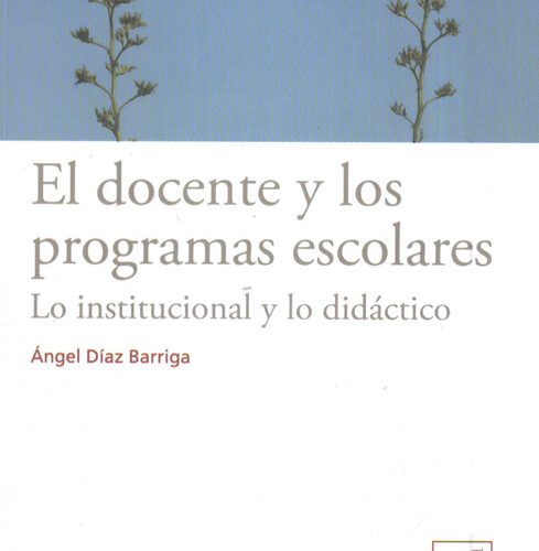 El docente y los programas escolares